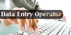 Data entry Operator (DED)